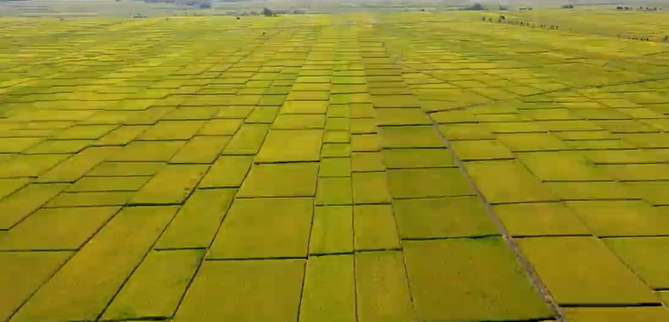 圖片.png